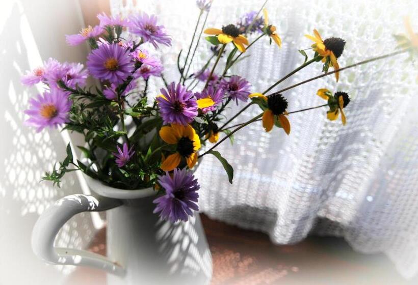 פנסיון Matievics Borászat és Vendégház