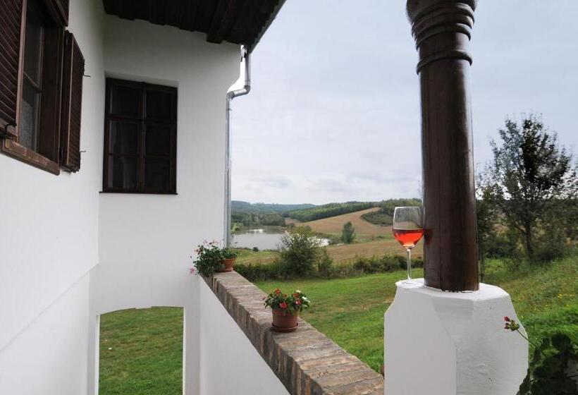 פנסיון Matievics Borászat és Vendégház