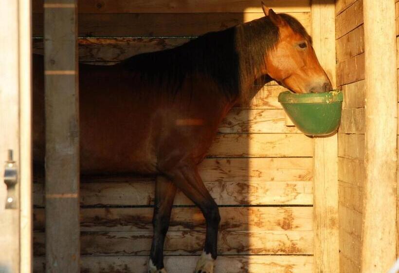 פנסיון Matievics Borászat és Vendégház