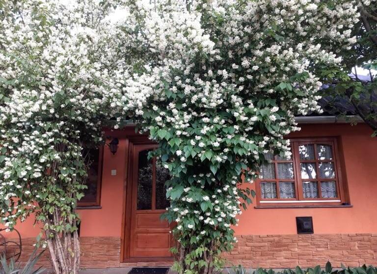 פנסיון Vadregény Vendégház