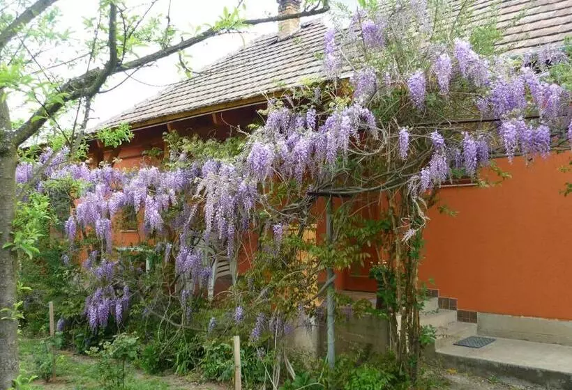 ペンション Vadregény Vendégház