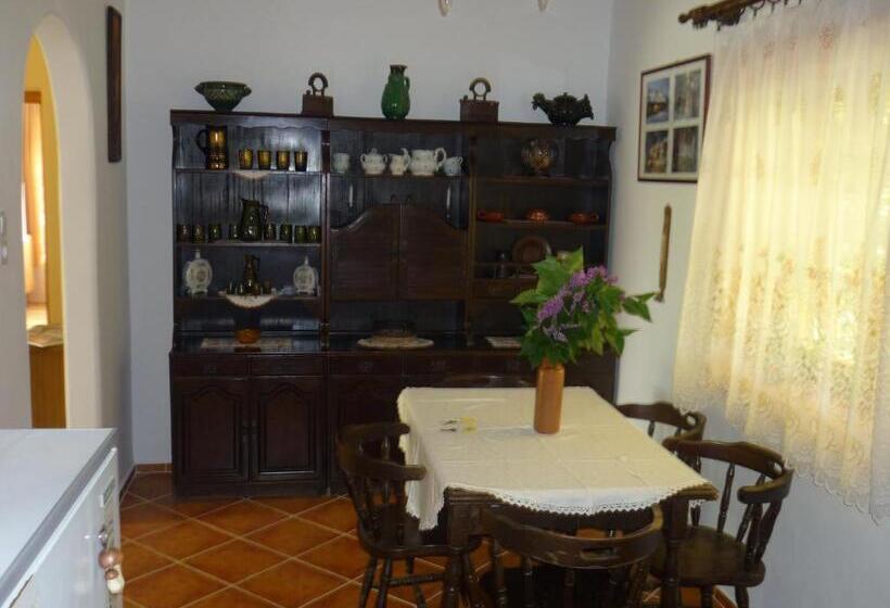 פנסיון Vadregény Vendégház