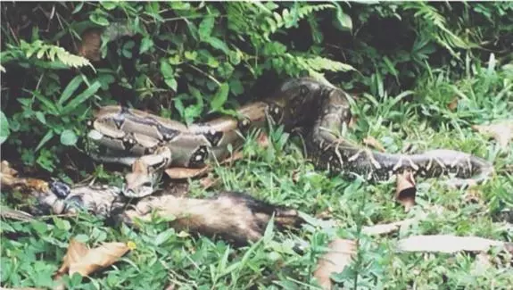 Albergue De Montaña Talari