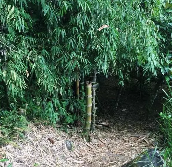 Albergue De Montaña Talari