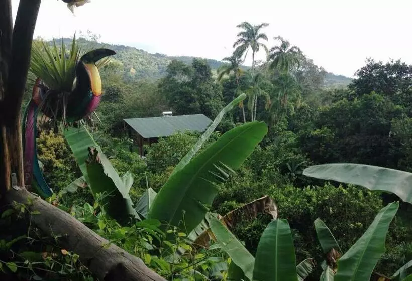 Albergue De Montaña Talari