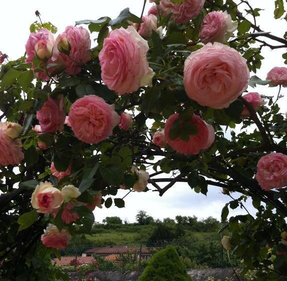 Bed and Breakfast Au Fond De La Cour