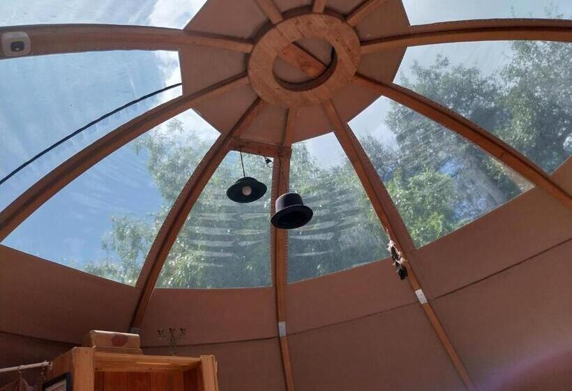 민박 La Chouette étoilée