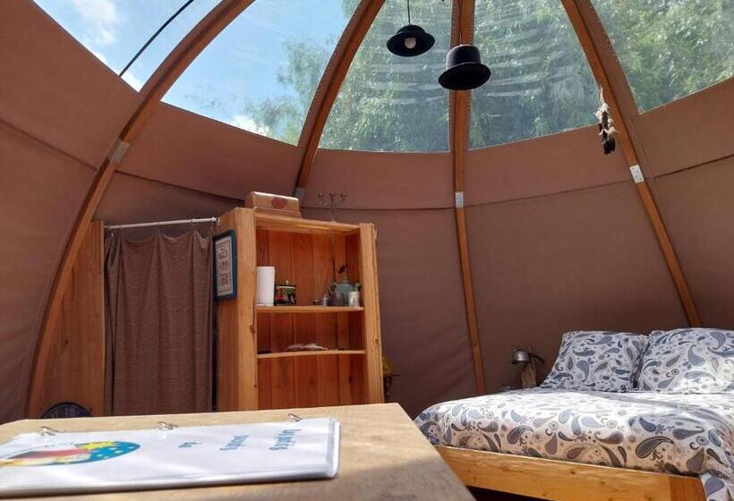 민박 La Chouette étoilée