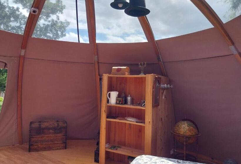 민박 La Chouette étoilée