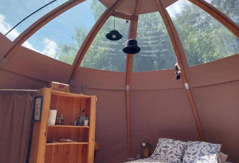 민박 La Chouette étoilée