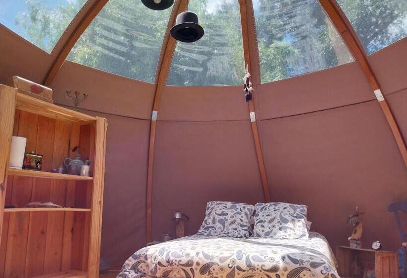 민박 La Chouette étoilée