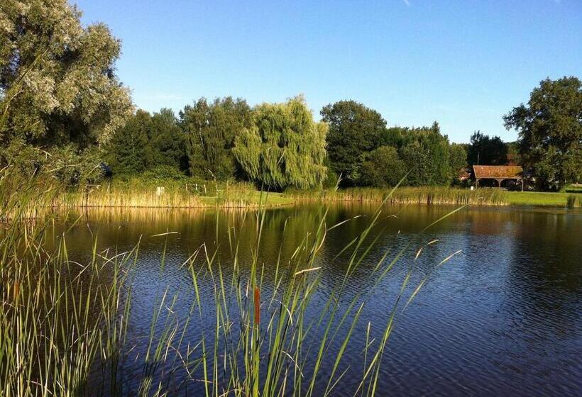 민박 La Chouette étoilée