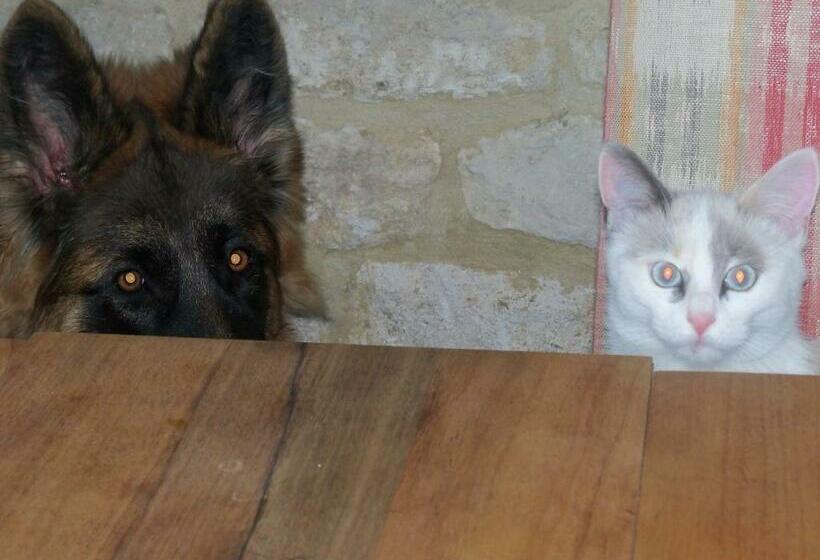 Bed and Breakfast La Migrane