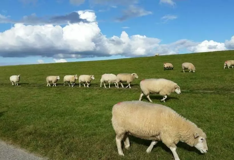 Aamiaismajoitus (B&B) Pension Nordwind