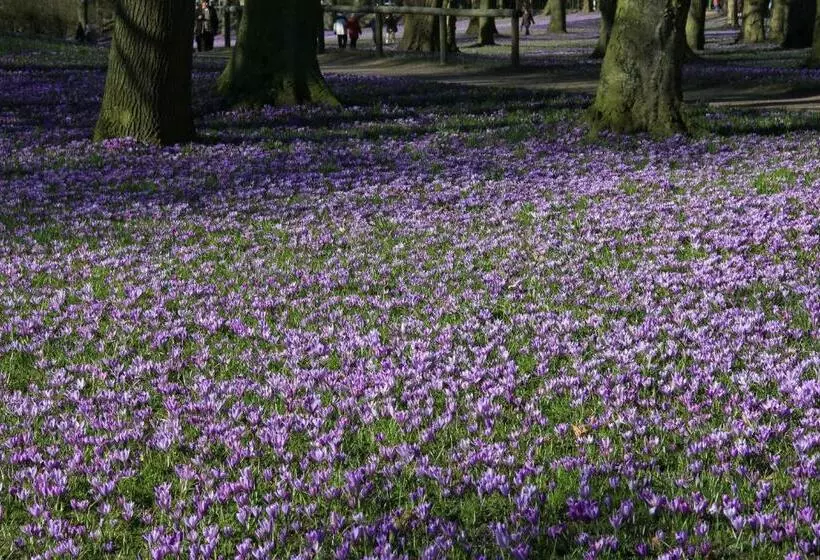 Aamiaismajoitus (B&B) Pension Nordwind