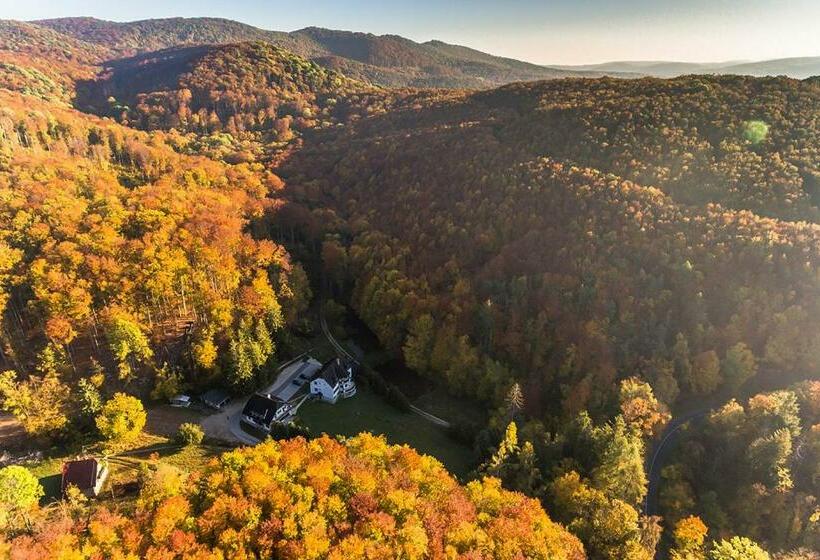 צימר Pénzpataki Vadászház