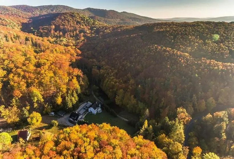 Aamiaismajoitus (B&B) Pénzpataki Vadászház