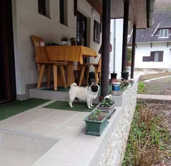 Aamiaismajoitus (B&B) Pénzpataki Vadászház