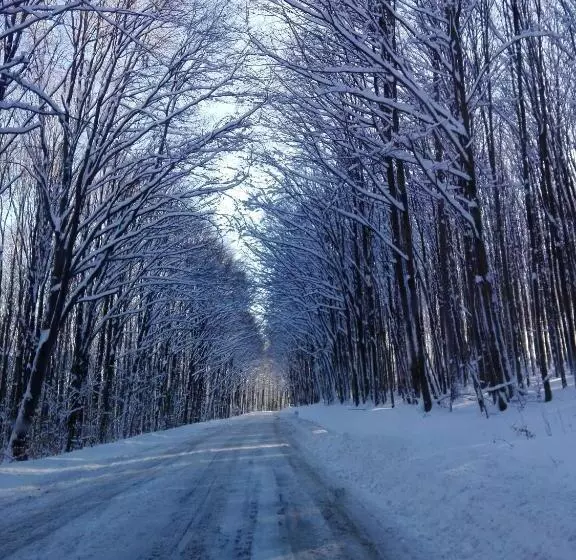 Aamiaismajoitus (B&B) Pénzpataki Vadászház