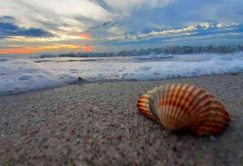 酒店 Agriturismo Monte Acuto   Natura, Mare & Relax In Piscina