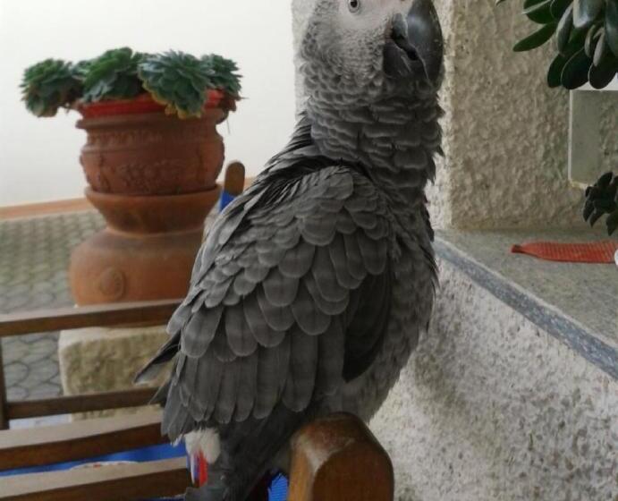 酒店 Agriturismo Monte Acuto   Natura, Mare & Relax In Piscina