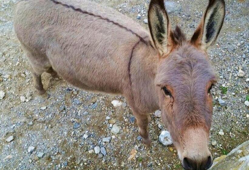 酒店 Agriturismo Monte Acuto   Natura, Mare & Relax In Piscina