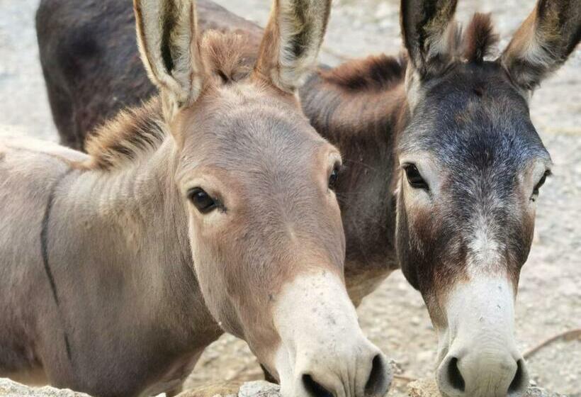 酒店 Agriturismo Monte Acuto   Natura, Mare & Relax In Piscina