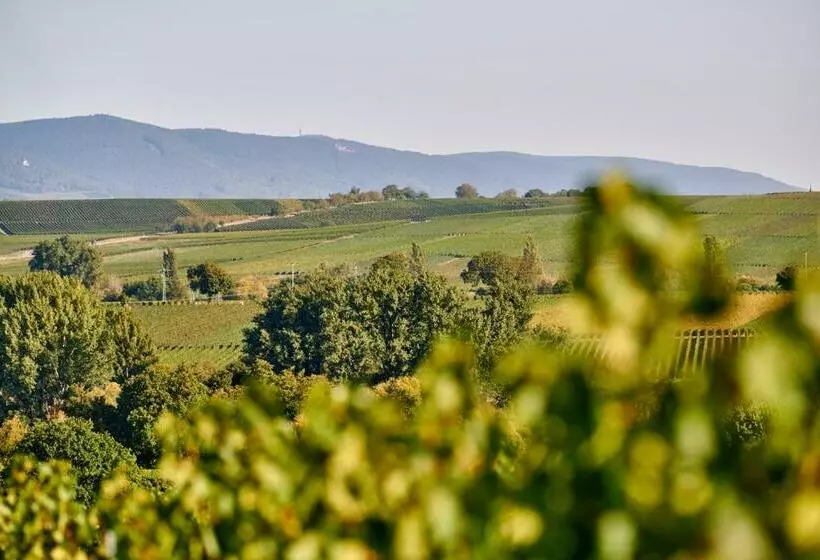 Hotelli Weingasthaus Wisser