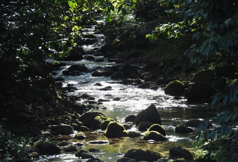 펜션 Babinda Quarters