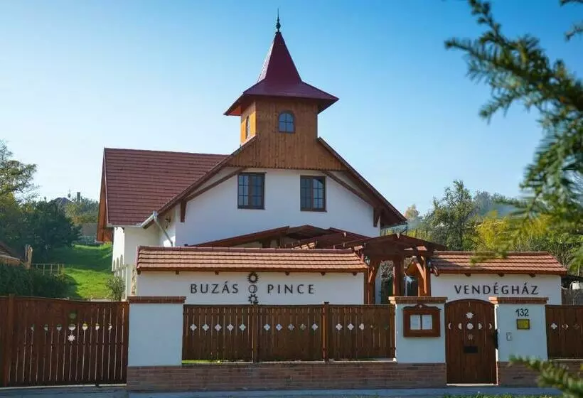 ペンション Buzás Pince Vendégház