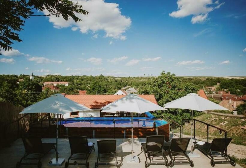 膳宿费 Buzás Pince Vendégház