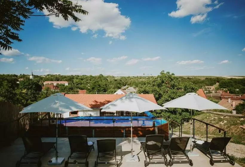 ペンション Buzás Pince Vendégház