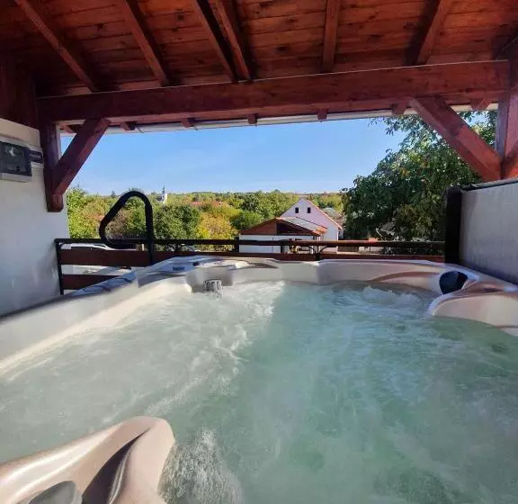 ペンション Buzás Pince Vendégház