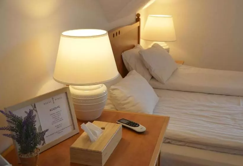 ペンション Buzás Pince Vendégház