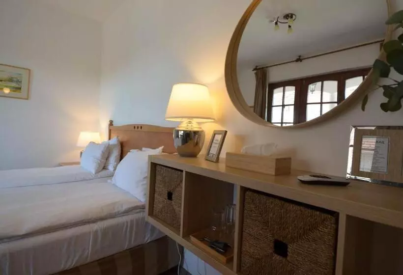 ペンション Buzás Pince Vendégház