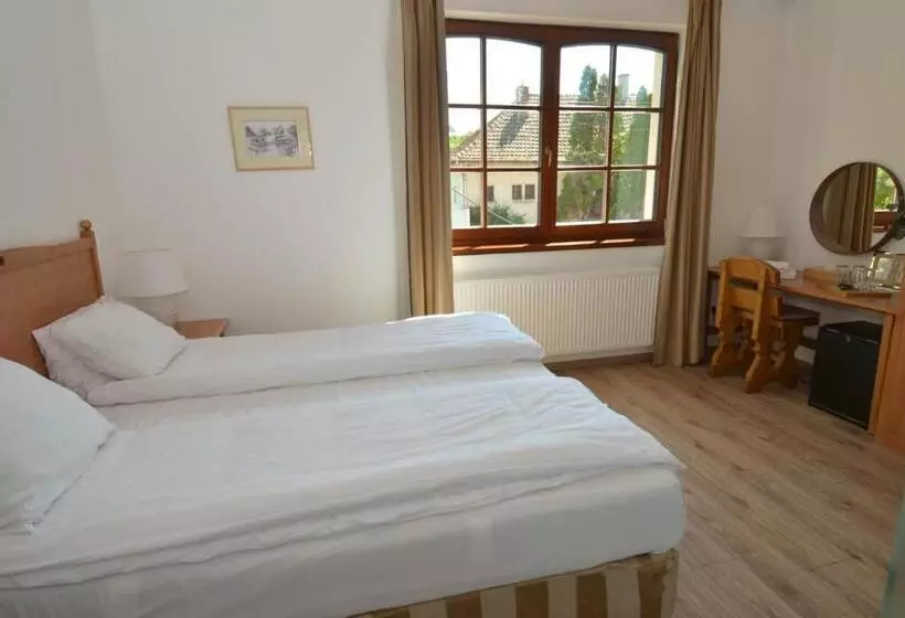 ペンション Buzás Pince Vendégház