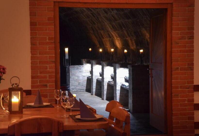 膳宿费 Buzás Pince Vendégház