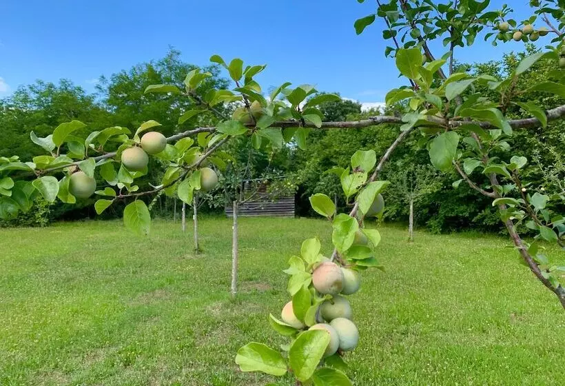 ペンション French Corréze Moulin Bleu