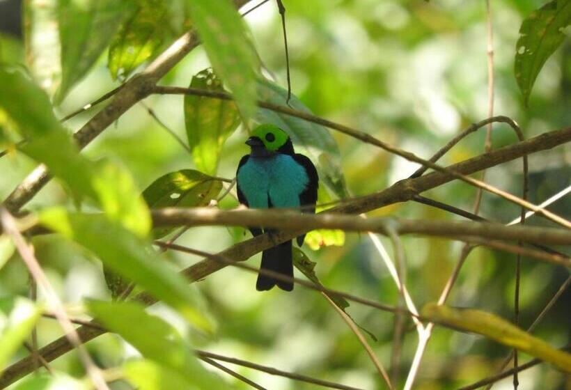 פנסיון Huaca Huaca Hostel