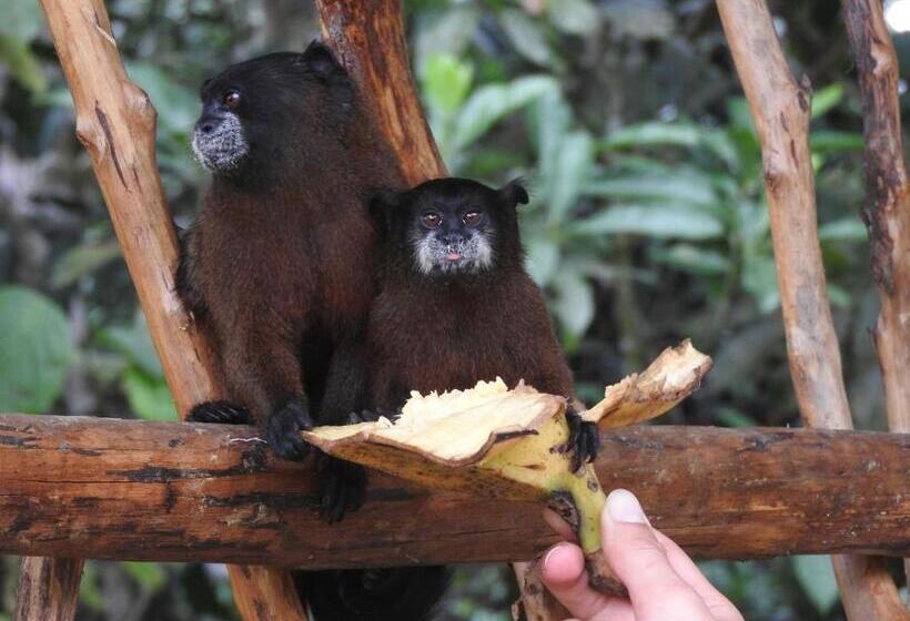 פנסיון Huaca Huaca Hostel