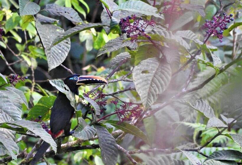 פנסיון Huaca Huaca Hostel