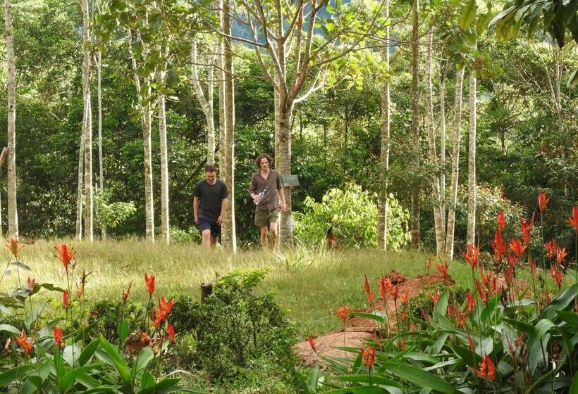 פנסיון Huaca Huaca Hostel