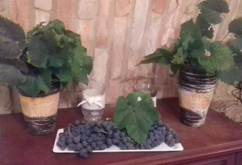 ペンション Penzion U štěpána