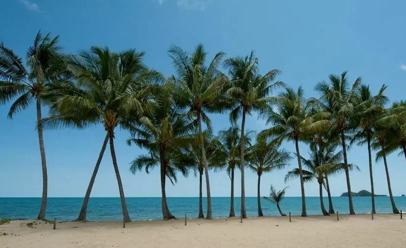 Ellis Beach Oceanfront Holiday Park