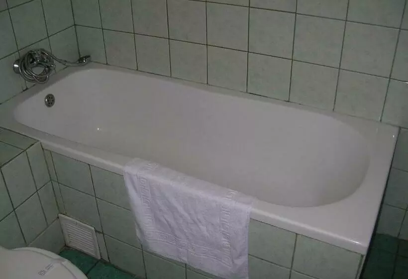 Hotel Floreta De Aur