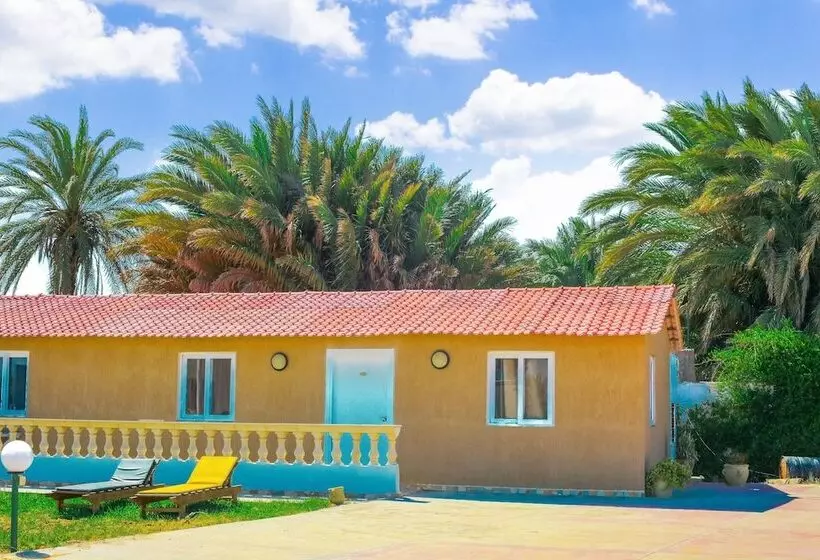 Отель Neptunia Skanes