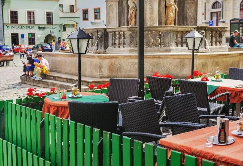 Отель Zlaty Andel