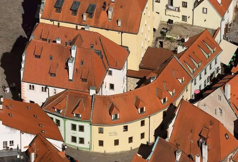 Отель Zlaty Andel