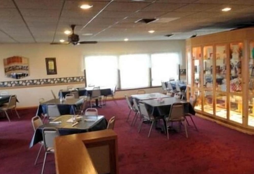 فندق صغير Cedar Inn