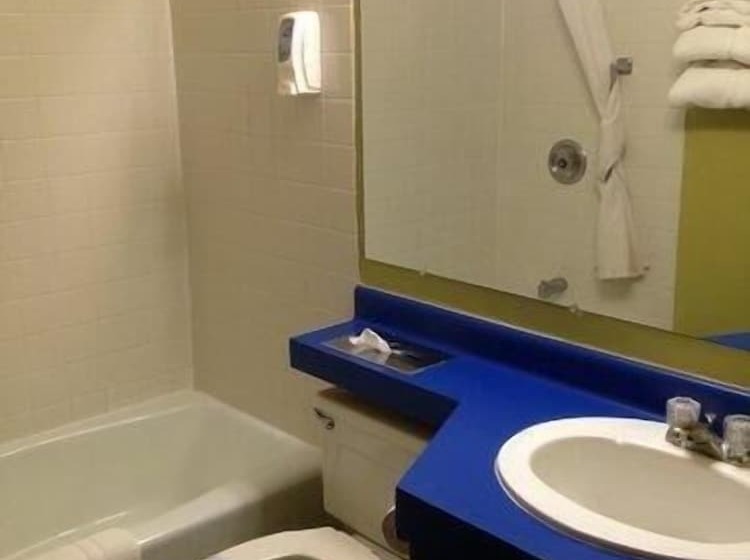 فندق صغير Cedar Inn